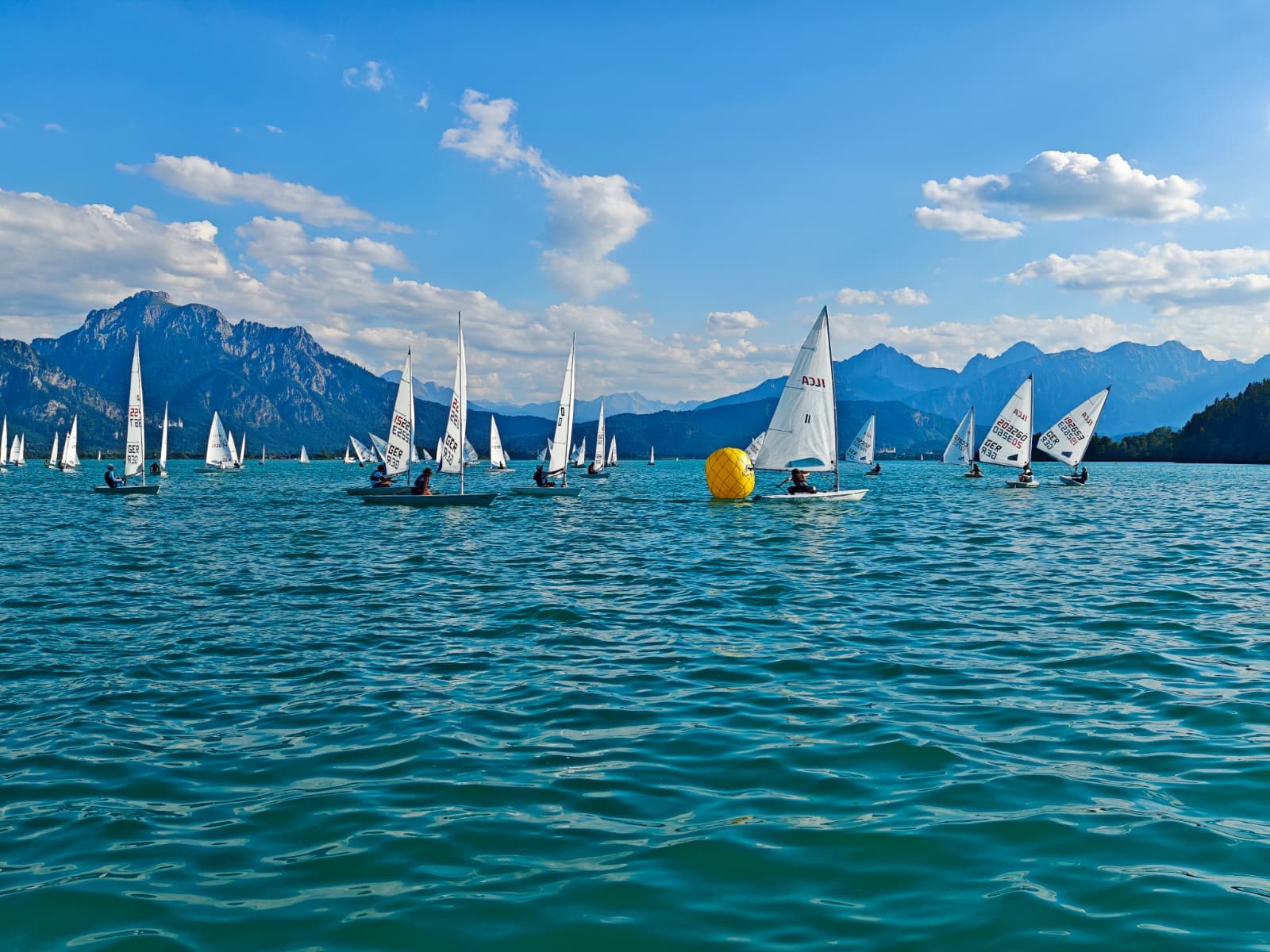Segler auf dem Forggensee